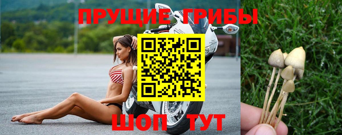 цена   Псилоцибиновые грибы Magic Shrooms  Вход с VPN  Чебаркуль 